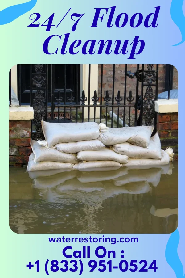 24/7 Flood Cleanup in Leonidas, MN