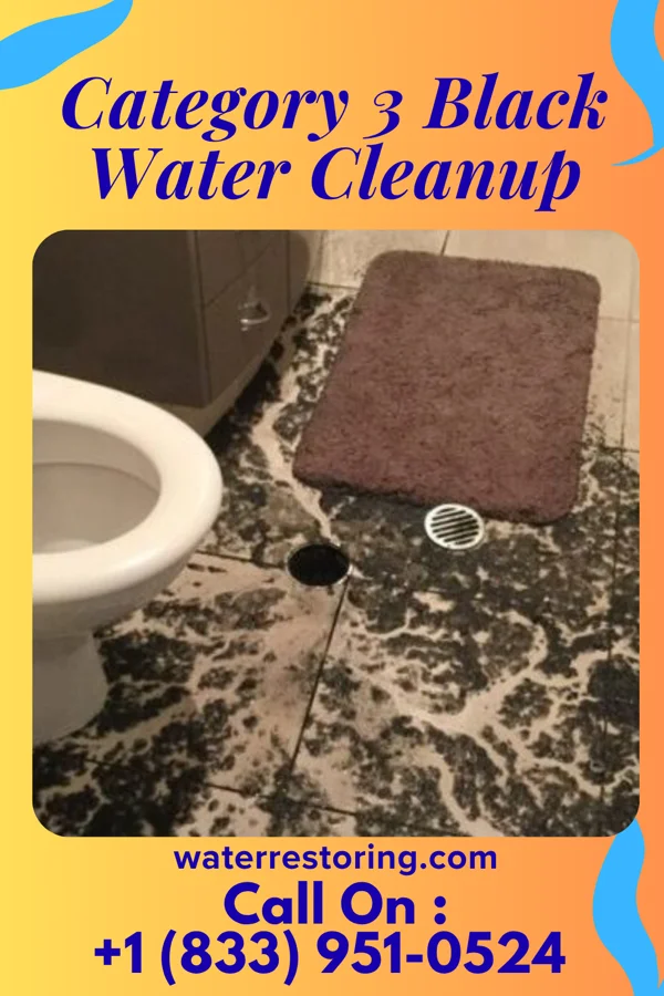 Category 3 Black Water Cleanup in Leonidas, MN