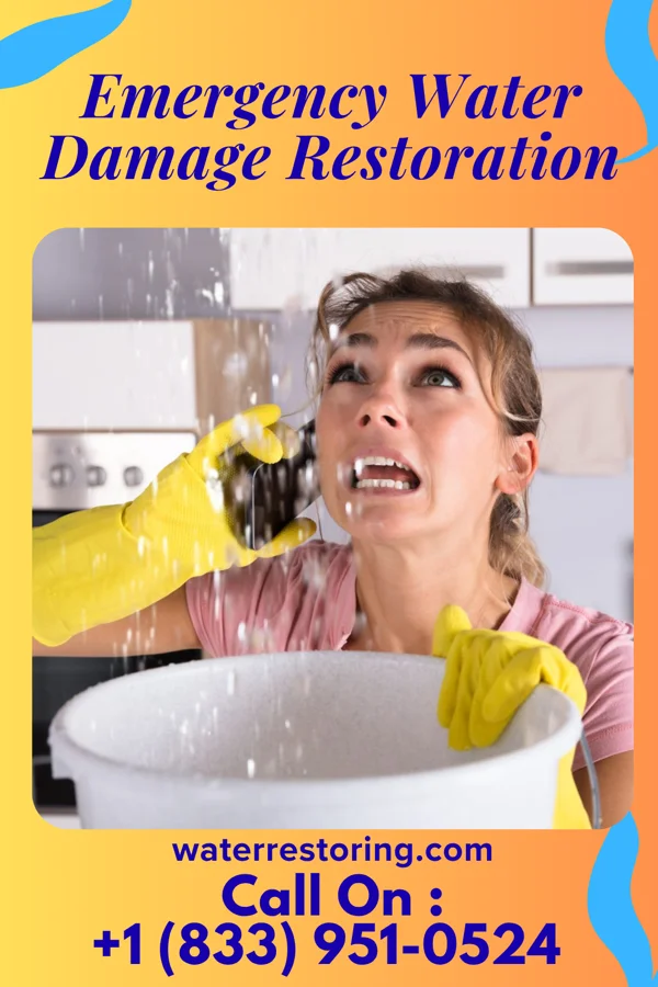 Emergency Water Damage Restoration in Leonidas, MN