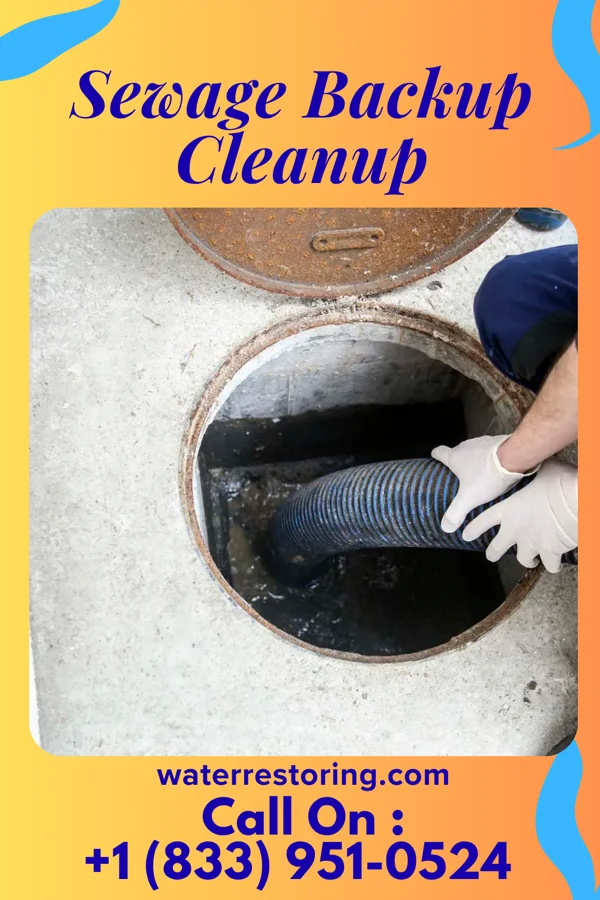 Sewage Backup Cleanup in Leonidas, MN