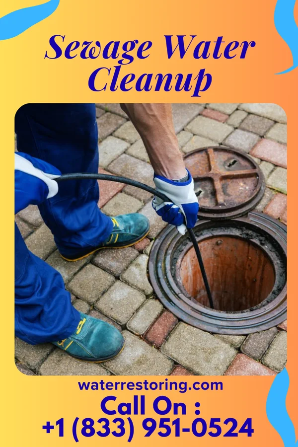 Sewage Water Cleanup in Leonidas, MN