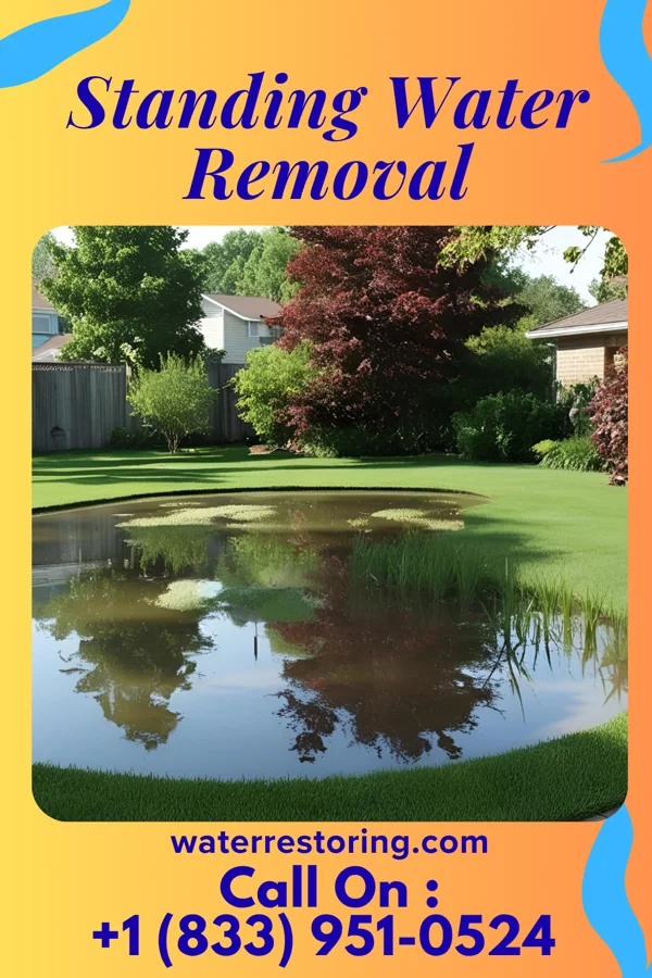 Standing Water Removal in Leonidas, MN